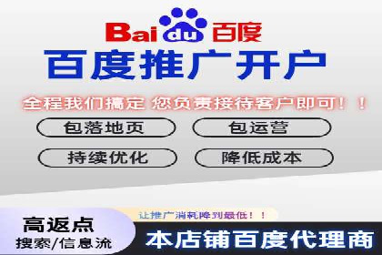 SEM服务优势案例分享